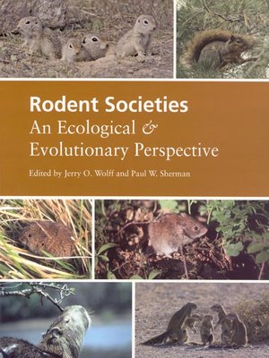 cover image of Rodent Societies